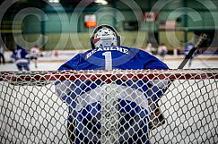 Nov 14 2024 Greater Sudbury Cubs v Sault T Birds