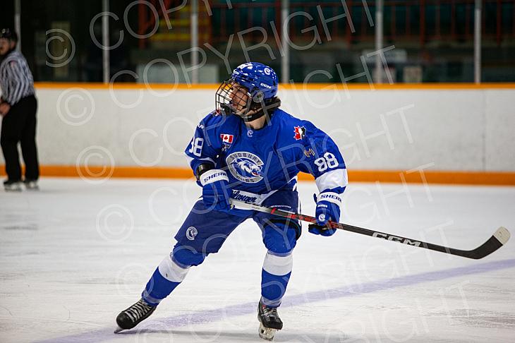 Nov 14 2024 Greater Sudbury Cubs v Sault T Birds