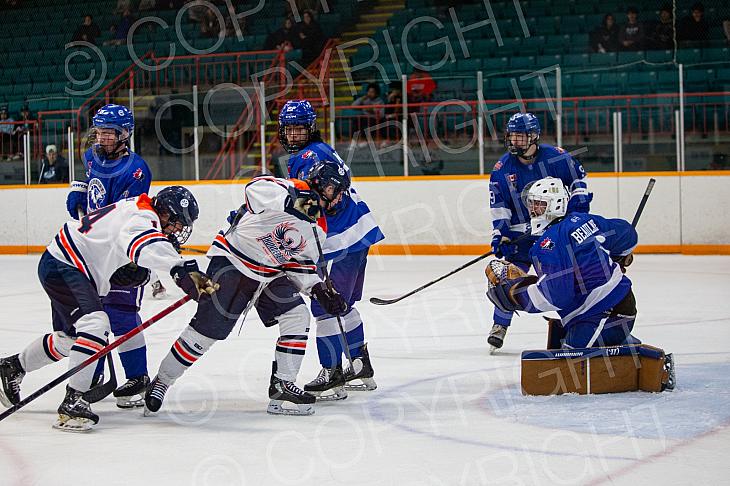 Nov 14 2024 Greater Sudbury Cubs v Sault T Birds