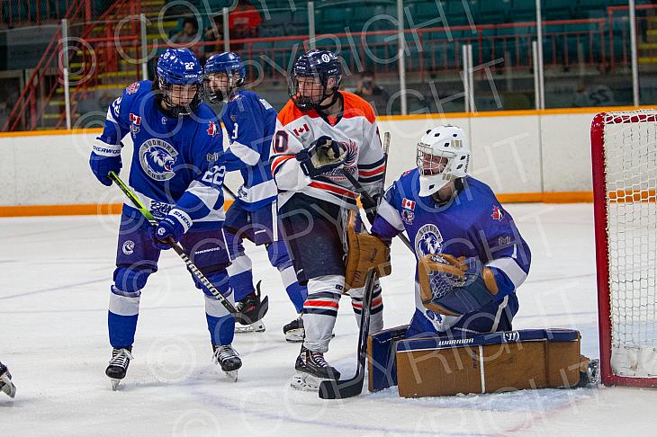 Nov 14 2024 Greater Sudbury Cubs v Sault T Birds