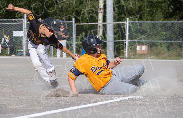 Saugeen V Blenheim