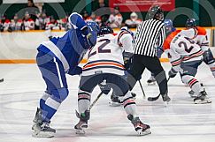 Nov 14 2024 Greater Sudbury Cubs v Sault T Birds