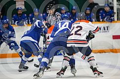 Nov 14 2024 Greater Sudbury Cubs v Sault T Birds