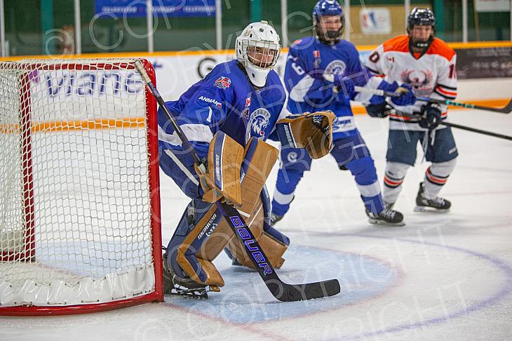 Nov 14 2024 Greater Sudbury Cubs v Sault T Birds