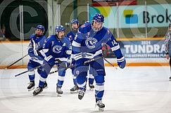 Nov 14 2024 Greater Sudbury Cubs v Sault T Birds