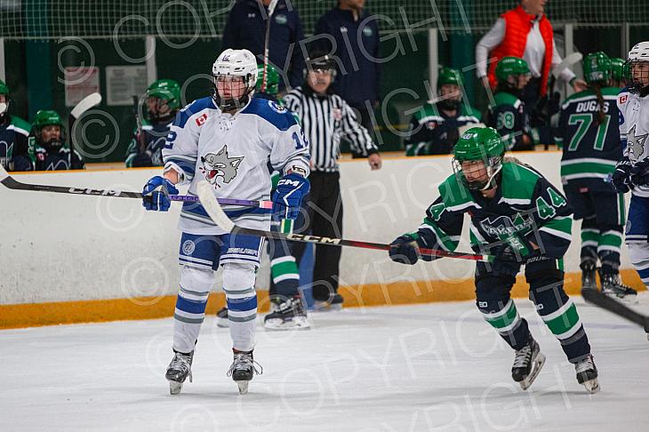 Oct 17 2024 Sudbury Lady Wolves U18 v North Bay Junior Lakers